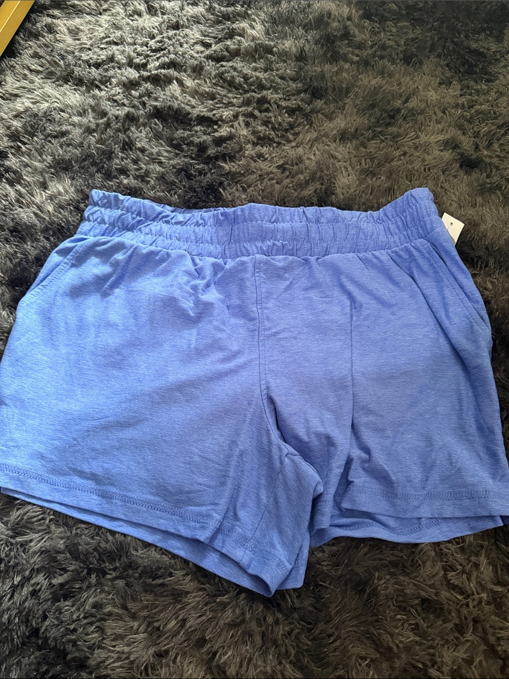 Women's Casual Blue Lounge Shorts - Elastic Waist